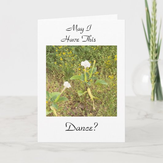 このダンスを踊ってもいいですか。 カード (正面)