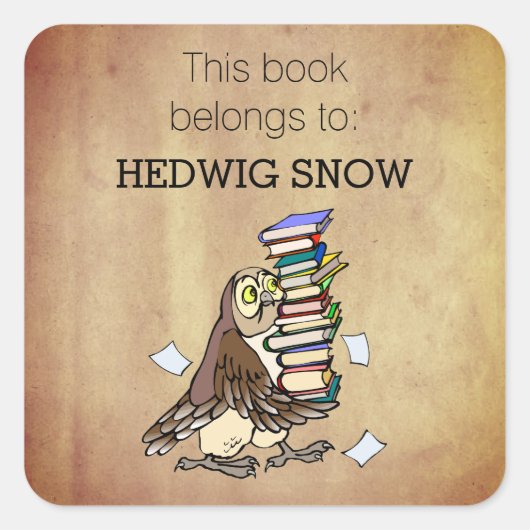このパーソナライズされた本はフクロウ蔵書票だ スクエアシール (正面)