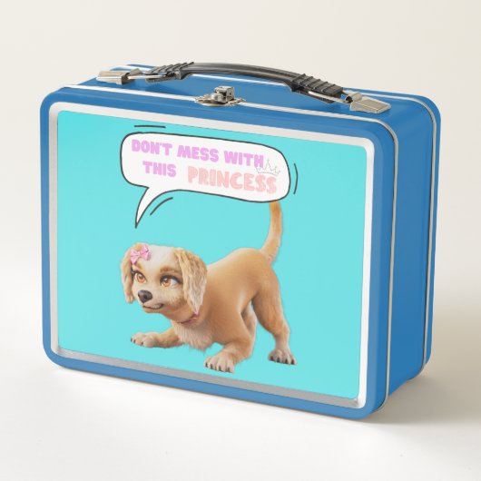 このプリンセス メタルランチボックス (正面)