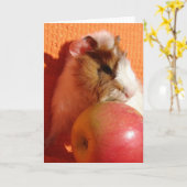 このリンゴは大きすぎる カード (黄色い花)