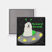 この世界からあなたはカスタマイズ可能！ マグネット (正面/裏面)