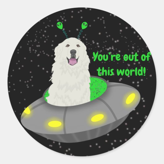 この世界からあなたはカスタマイズ可能！ ラウンドシール (正面)