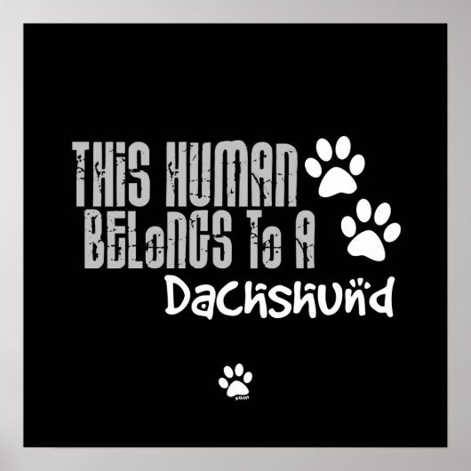 この人間はダックスフントに属している ポスター (正面)