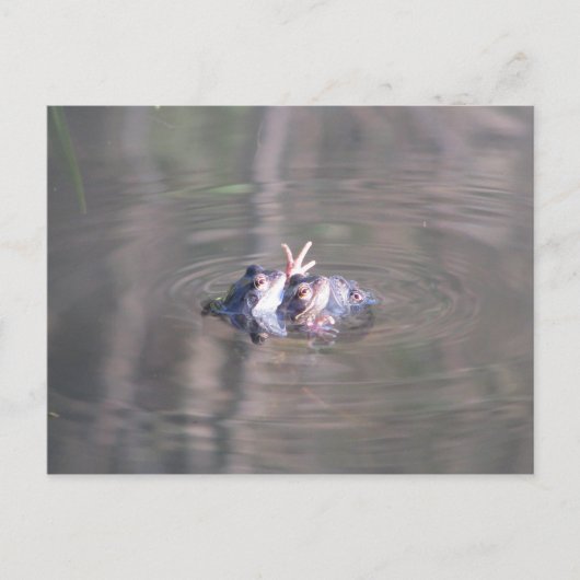 この人間関係には3人いる ポストカード (正面)