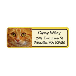 この住所 シールに猫の写真を追加 ラベル