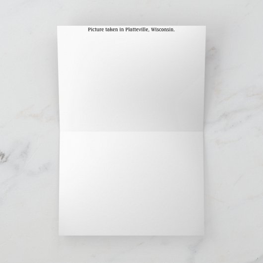 この写真で2匹の鹿を見つけたか？ カード (内部)