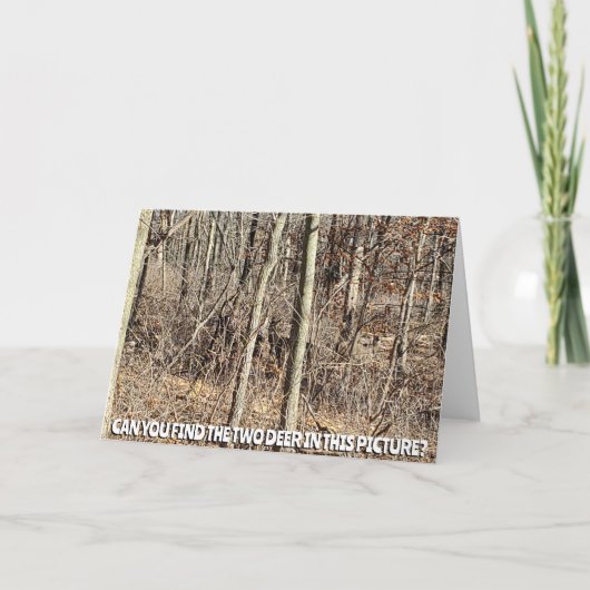 この写真で2匹の鹿を見つけたか? カード (正面)