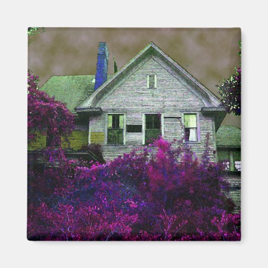 この古いハウスマグネット マグネット (正面)