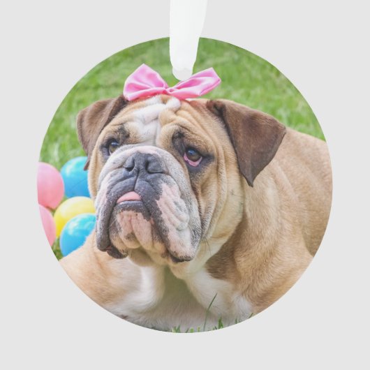 この可愛い犬の写真と名前を追加する オーナメント (正面)