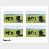 この国ではガロウェイの牛の一家が 長方形シール (シート)