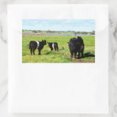 この国ではガロウェイの牛の一家が 長方形シール (バッグ)