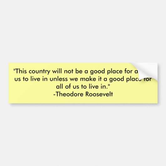 "この国はのための適切な場所…ではないです バンパーステッカー (正面)