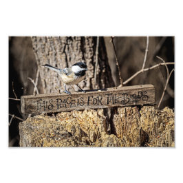 この場所は鳥たちのためだ フォトプリント