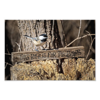 この場所は鳥たちのためだ フォトプリント           