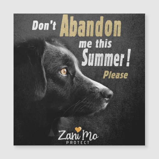 この夏に私を見捨てない – 犬の保護 (正面)