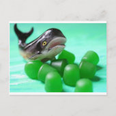 この奇妙な混成事件のはがき ポストカード (正面)