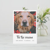 この季節のスクリプトのクリスマスフォト |愛犬 シーズンカード (スタンド正面)