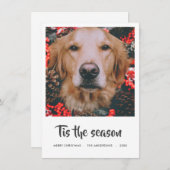 この季節のスクリプトのクリスマスフォト |愛犬 シーズンカード (正面/裏面)
