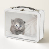 この小さい灰色の子ネコを見て下さい メタルランチボックス (正面)