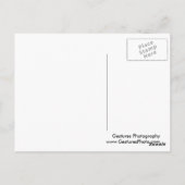 この小さなブタ飼い ポストカード (裏面)