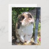 この小僧と怒りを感じる奴を送れ！ 案内ポストカード (正面/裏面)