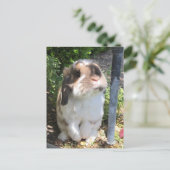 この小僧と怒りを感じる奴を送れ！ 案内ポストカード (スタンド正面)