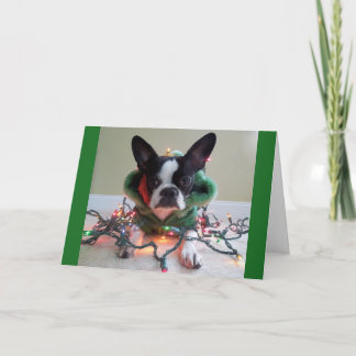 この小妖精や小人の物は仕事です! シーズンカード