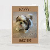 この復活祭の「喜びをもたらす」すべてのもの シーズンカード (正面)