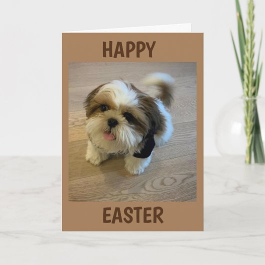 この復活祭の「喜びをもたらす」すべてのもの シーズンカード (正面)