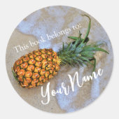 この本はパイナップルビーチシール ラウンドシール (正面)