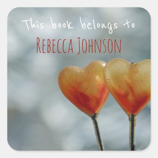 この本は次のものだ スクエアシール (正面)