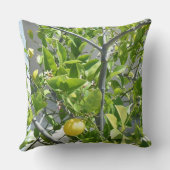 この枕で美しいレモンの木非常に! クッション (裏面)