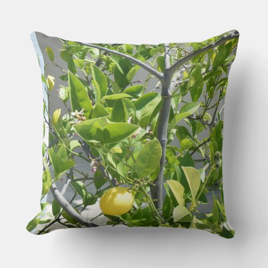この枕で美しいレモンの木非常に! クッション (正面)