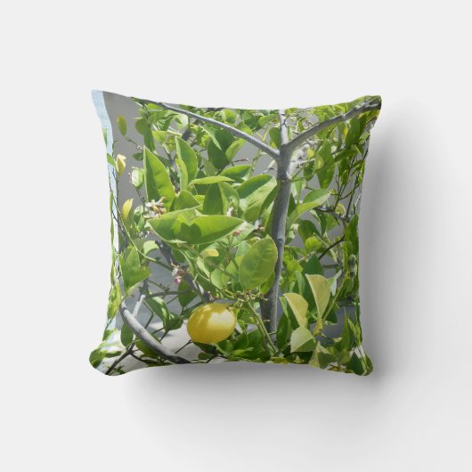 この枕で美しいレモンの木非常に! クッション (正面)