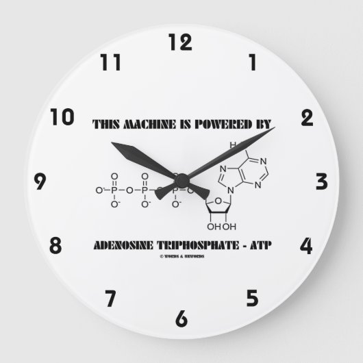 この機械はアデノシン三リン酸で動く ラウンド壁時計 (正面)