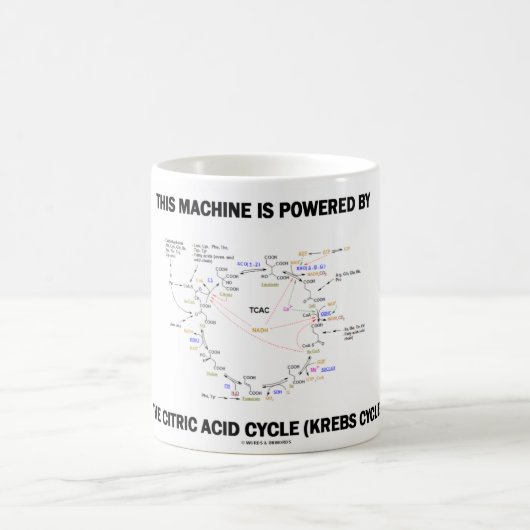この機械はクエン酸回路によって動力を与えられます コーヒーマグカップ (中央)