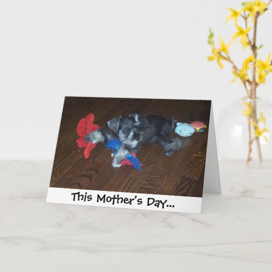 この母の日… カード (黄色い花)