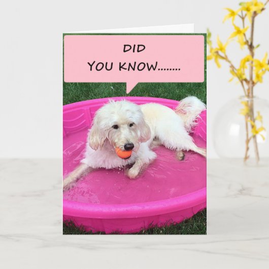 この水泳の子犬は君への愛を宣言する カード (黄色い花)