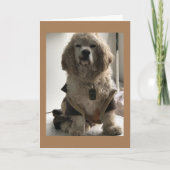 この犬は「ハッピーバースデー」と言う用意がある カード (正面)