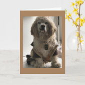 この犬は「ハッピーバースデー」と言う用意がある カード (黄色い花)