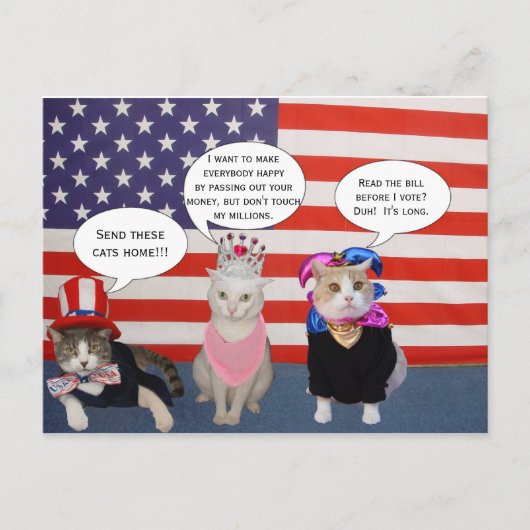 この猫たちを家に送れ！ ポストカード (正面)