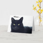 この猫は何を誕生日の私達に告げますか。 カード (黄色い花)