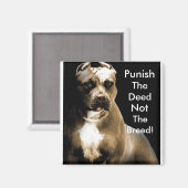 この種を罰せず マグネット (正面/裏面)