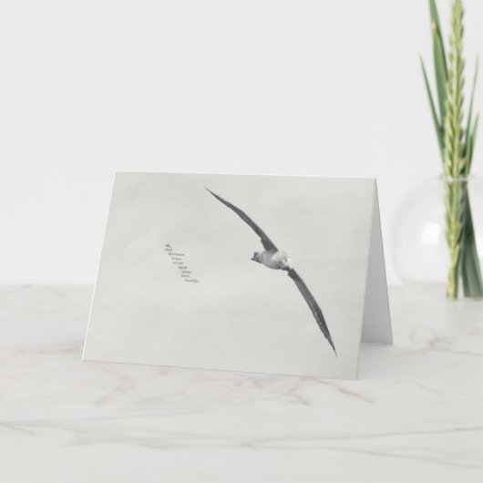 「この羽」 カード (正面)