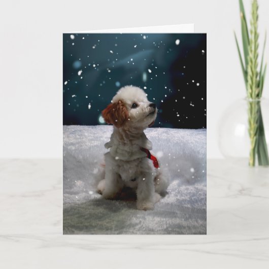 この考えホリデーシーズン折り畳みカード シーズンカード (正面)