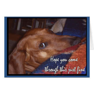 この良いによって来ることを望んで下さい