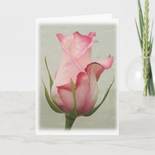 この芽は君のためだ! シーズンカード (正面)