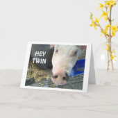 この落とし穴の中の年と鼻の双素晴らし子のユーモア カード (黄色い花)