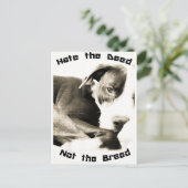 この行為を憎むピットブル ポストカード (スタンド正面)