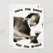 この行為を憎むピットブル ポストカード (正面/裏面)